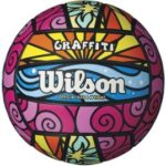 Wilson Outdoor Recreational Volleyball