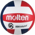 Molten Recreational Volleyball